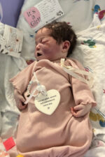 Wynter Perkins