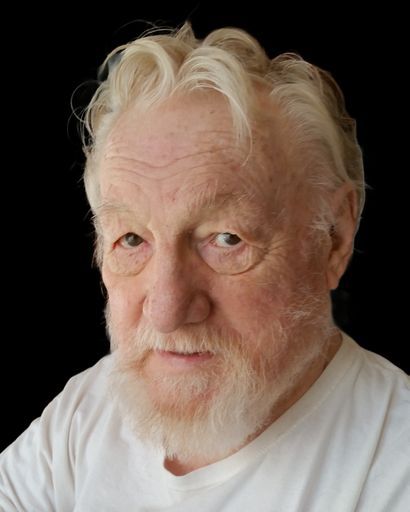 Ronald N. Dixon